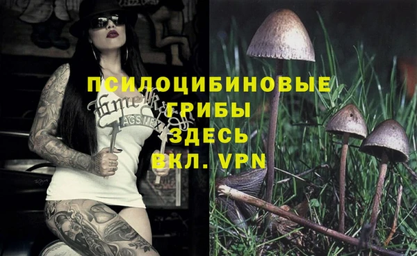 таблы Беломорск