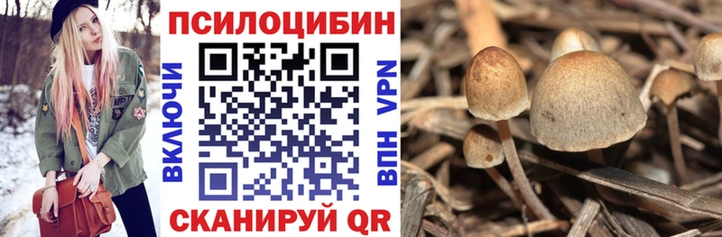 это Telegram  OMG как войти  Кстово  Галлюциногенные грибы ЛСД 