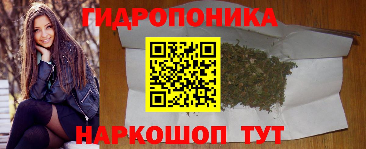 Канабис OG Kush Кстово